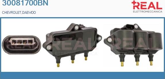REAL 30081700BN - Ignition Coil autospares.lv