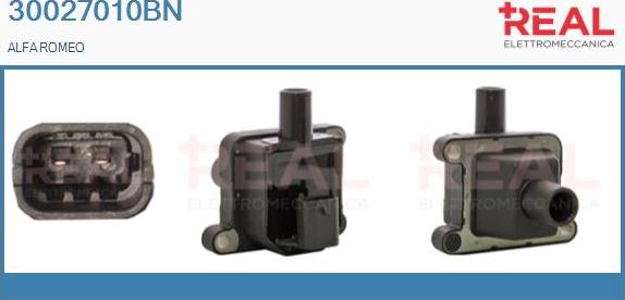REAL 30027010BN - Ignition Coil autospares.lv