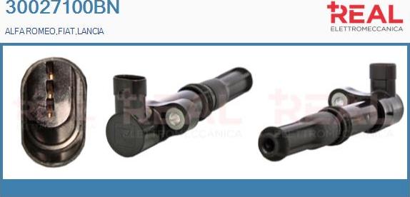 REAL 30027100BN - Ignition Coil autospares.lv
