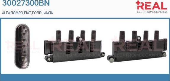REAL 30027300BN - Ignition Coil autospares.lv