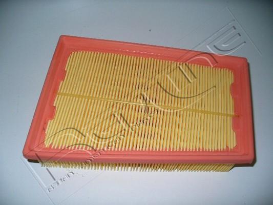 Red Line 36NI016 - Air Filter, engine autospares.lv