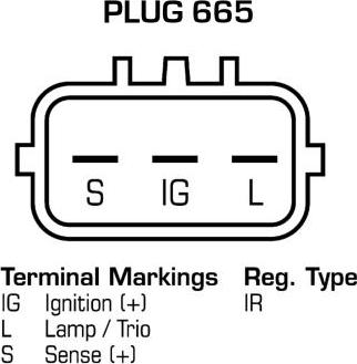 Remy 19090017 - Alternator autospares.lv