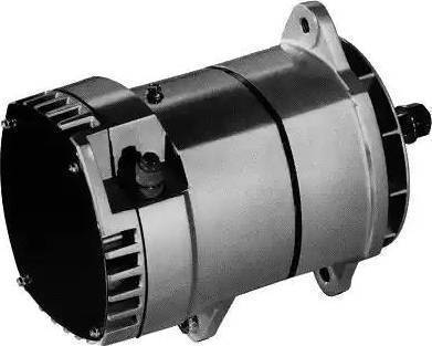 Remy 19010000 - Alternator autospares.lv