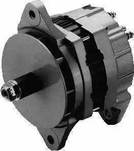 Remy 19020304 - Alternator autospares.lv