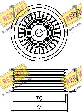 REPKIT RKT3231 - Pulley, v-ribbed belt autospares.lv