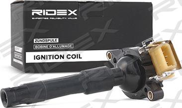 RIDEX 689C0024 - Ignition Coil autospares.lv