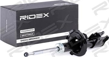 RIDEX 854S0738 - Shock Absorber autospares.lv