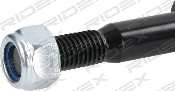 RIDEX 854S1296 - Shock Absorber autospares.lv