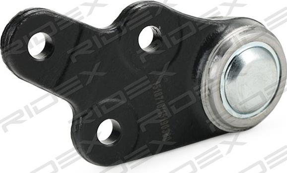 RIDEX 2462S0437 - Ball Joint autospares.lv