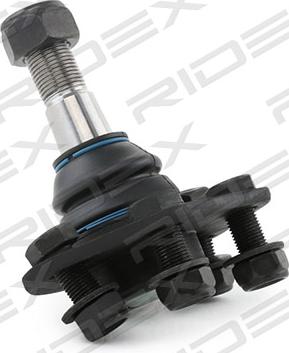 RIDEX 2462S0201 - Ball Joint autospares.lv