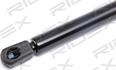 RIDEX 219G0496 - Gas Spring, boot, cargo area autospares.lv