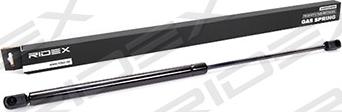 RIDEX 219G0062 - Gas Spring, boot, cargo area autospares.lv