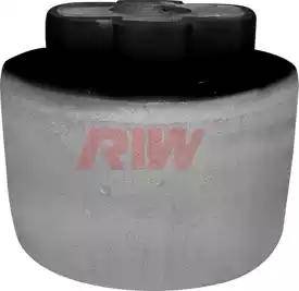 RIW FI11037 - Bush of Control / Trailing Arm autospares.lv