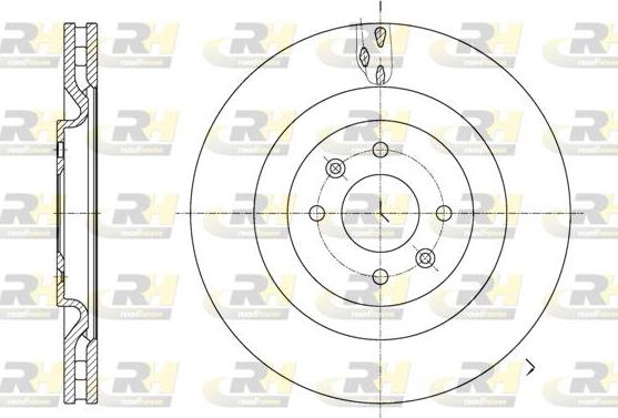 Roadhouse 61667.10 - Brake Disc autospares.lv