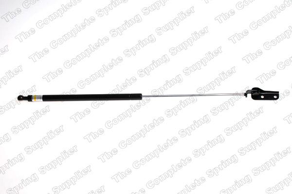 ROC GS0844 - Gas Spring, boot, cargo area autospares.lv