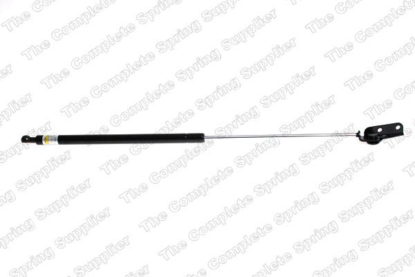 ROC GS0848 - Gas Spring, boot, cargo area autospares.lv