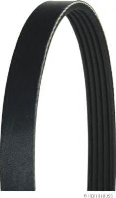 Roulunds Rubber 5K0836 - V-Ribbed Belt autospares.lv