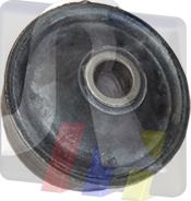 RTS 017-00667 - Bush of Control / Trailing Arm autospares.lv