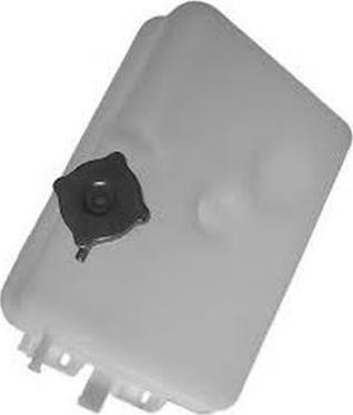 Automotive RYME 43153 - Expansion Tank, coolant autospares.lv