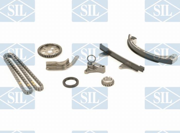 Saleri SIL CK5067 - Timing Chain Kit autospares.lv