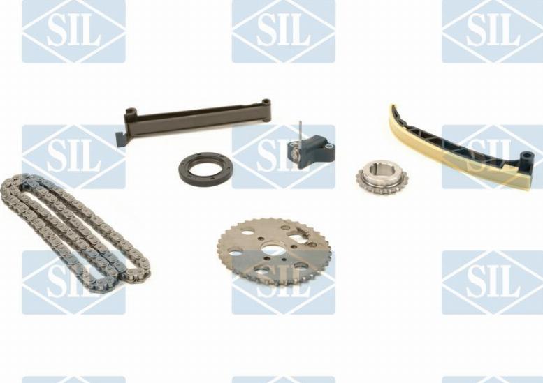 Saleri SIL CK5079 - Timing Chain Kit autospares.lv