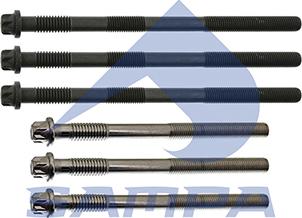 Sampa 020.820 - Cylinder Head Bolt autospares.lv