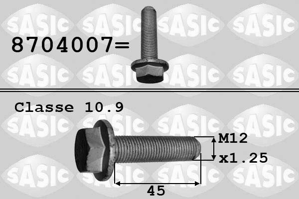 Sasic 8704007 - Pulley Bolt autospares.lv