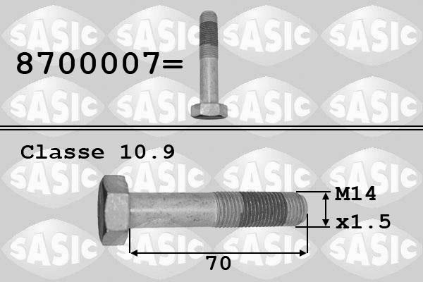 Sasic 8700007 - Pulley Bolt autospares.lv