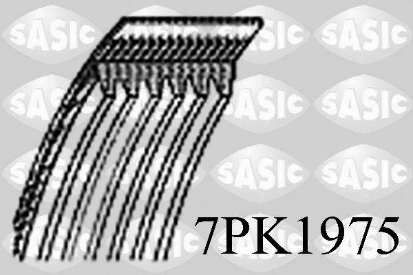 Sasic 7PK1975 - V-Ribbed Belt autospares.lv