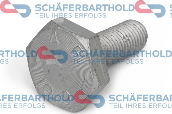 Schferbarthold 100 18 314 01 11 - Screw, camshaft gear autospares.lv