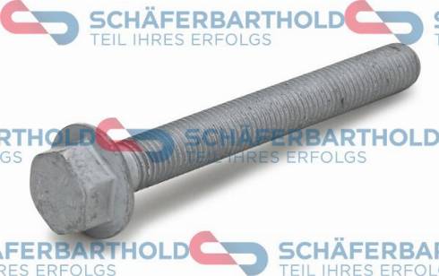 Schferbarthold 100 18 324 01 11 - Bolt, axle beam mounting autospares.lv