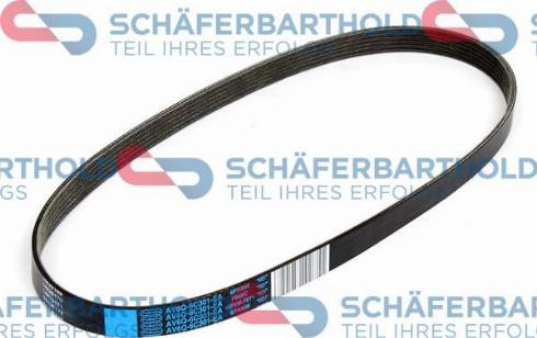 Schferbarthold 300 06 808 01 11 - V-Ribbed Belt autospares.lv