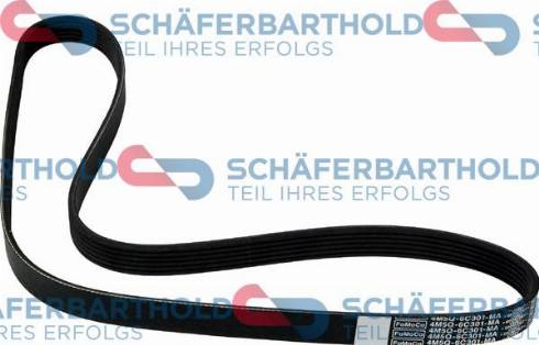 Schferbarthold 300 06 874 01 11 - V-Ribbed Belt autospares.lv