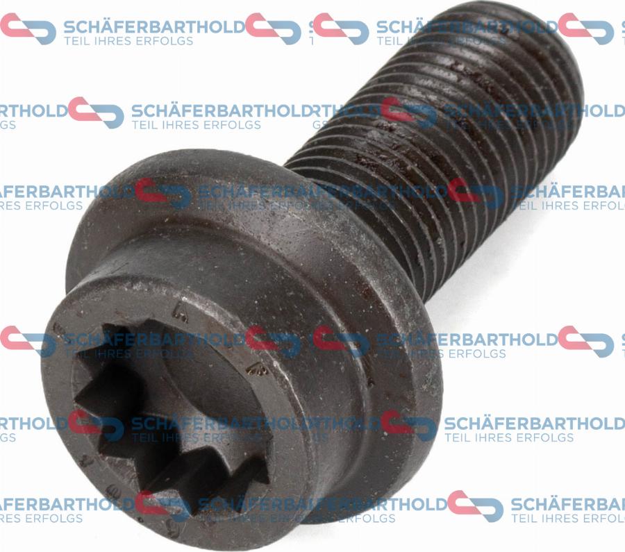 Schferbarthold 319 18 613 01 22 - Screw, camshaft gear autospares.lv