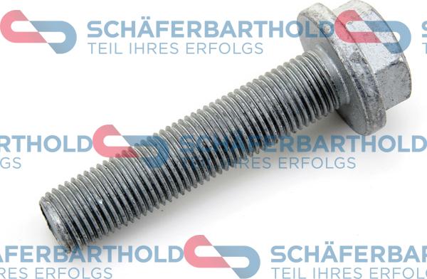 Schferbarthold 310 28 697 01 11 - Pulley Bolt autospares.lv