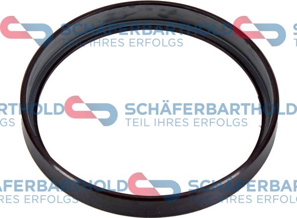 Schferbarthold 310 27 605 01 11 - Sensor Ring, ABS autospares.lv