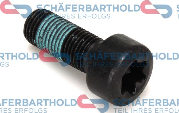 Schferbarthold 310 27 608 01 11 - Flywheel Bolt autospares.lv