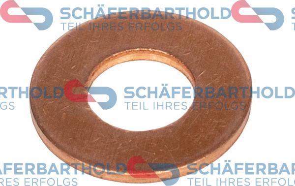 Schferbarthold 313 06 060 01 11 - Seal Ring, oil drain plug autospares.lv