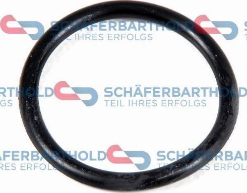 Schferbarthold 313 02 936 01 11 - Seal Ring autospares.lv