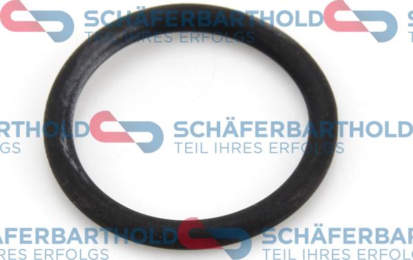 Schferbarthold 313 02 626 01 22 - Seal, oil filter housing autospares.lv