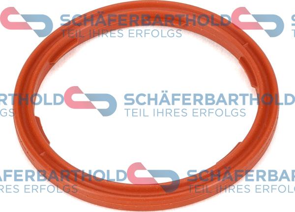 Schferbarthold 313 02 369 01 22 - Seal Ring, engine oil level sensor autospares.lv