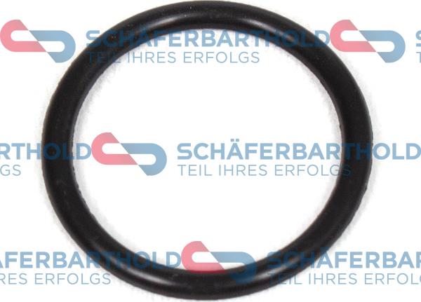 Schferbarthold 313 16 071 01 11 - Seal Ring, oil drain plug autospares.lv