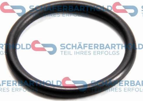 Schferbarthold 313 16 078 01 22 - Seal Ring, oil drain plug autospares.lv