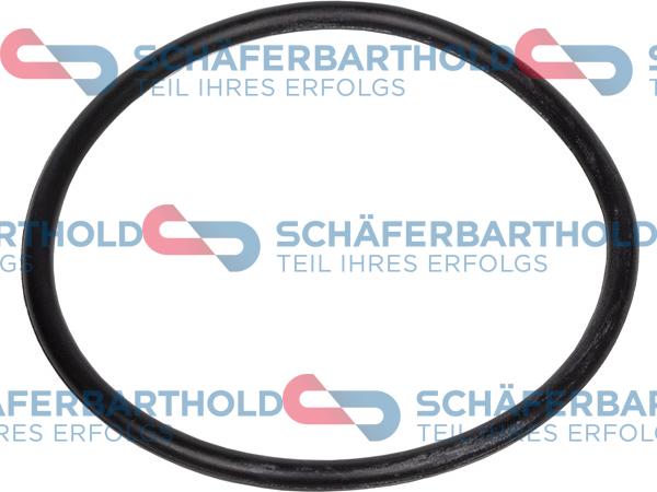 Schferbarthold 313 18 103 01 11 - Seal Ring, oil screen autospares.lv