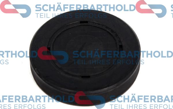 Schferbarthold 313 28 437 01 11 - Plug, rocker arm shaft mounting bore autospares.lv