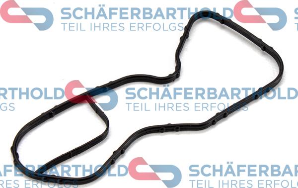 Schferbarthold 313 28 006 01 11 - Seal, coolant pipe autospares.lv