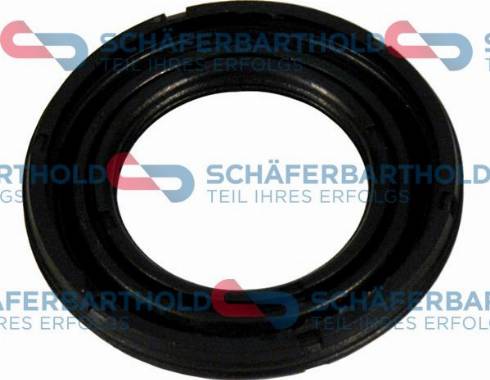 Schferbarthold 313 27 100 01 11 - Seal Ring, steering knuckle autospares.lv