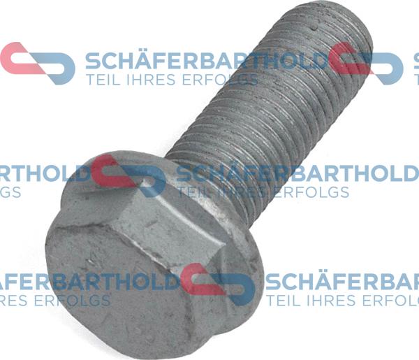 Schferbarthold 317 18 770 01 22 - Bolt, brake caliper autospares.lv