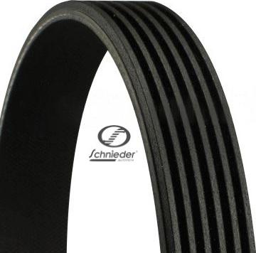 SCHNIEDER AUTOTECH LRS16.00009 - V-Ribbed Belt autospares.lv