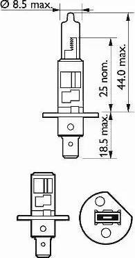 SCT-MANNOL 202037 - Bulb, spotlight autospares.lv